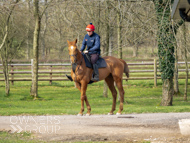 BP200326-46 - It's Hard To Know